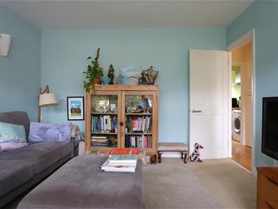 Picture 5